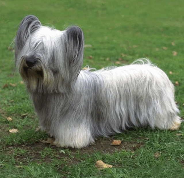cropped-image-976.png